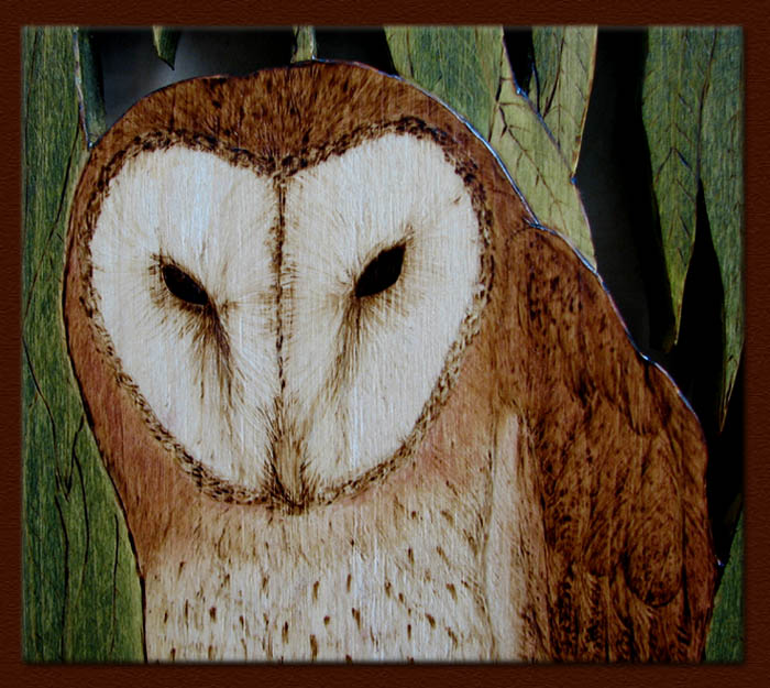 Tyto alba tanja sova pyrography